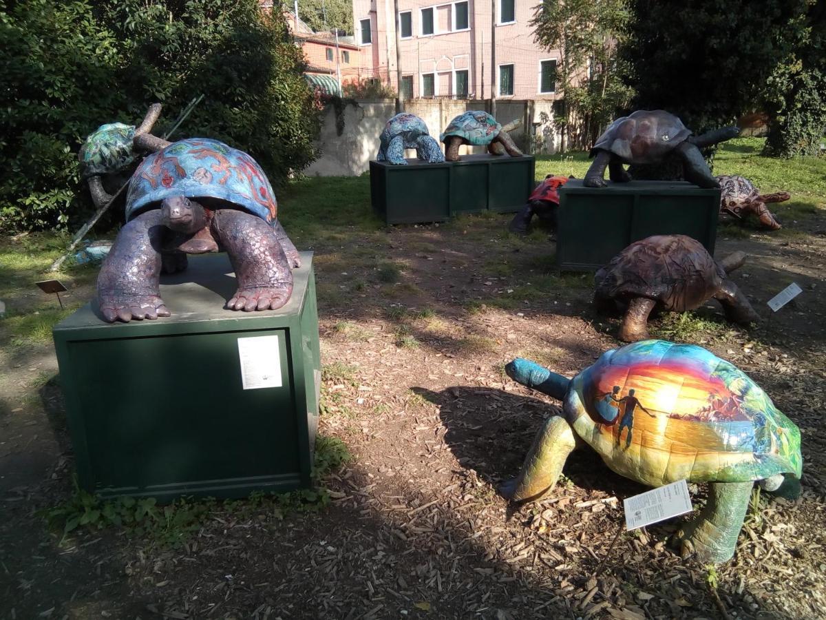 阿隆格拜阿尼住宿加早餐旅馆 威尼斯 外观 照片